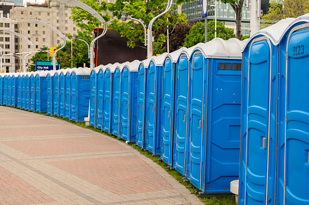 Best Portable Restroom Maintenance and Cleaning  in Laymantown, VA